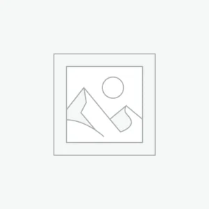 Elegant Maroon Wedding Dress